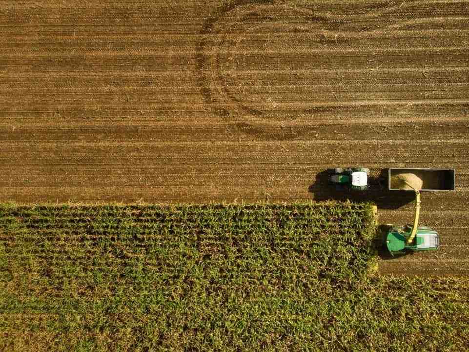 Impulso al sector agrícola hondureño: Ficohsa y USAID unen fuerzas para apoyar a pequeños y medianos productores
